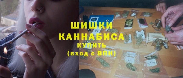 сатива Абинск