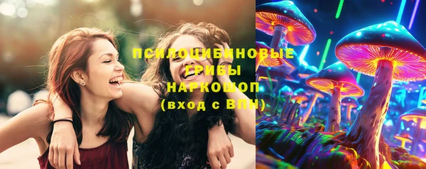 прущий лед Абаза