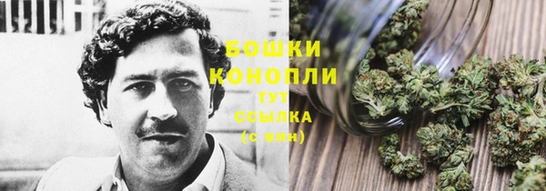 сатива Абинск