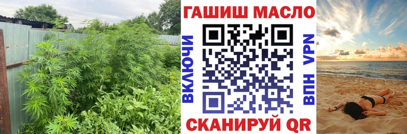 Дистиллят ТГК гашишное масло где продают Остров